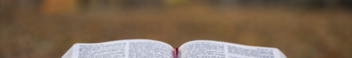 bible-2 bible-2